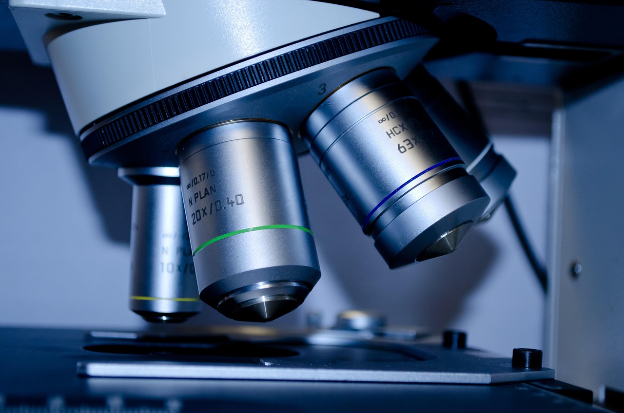 Breakthroughs in Blood Aging and Limb Regeneration Research