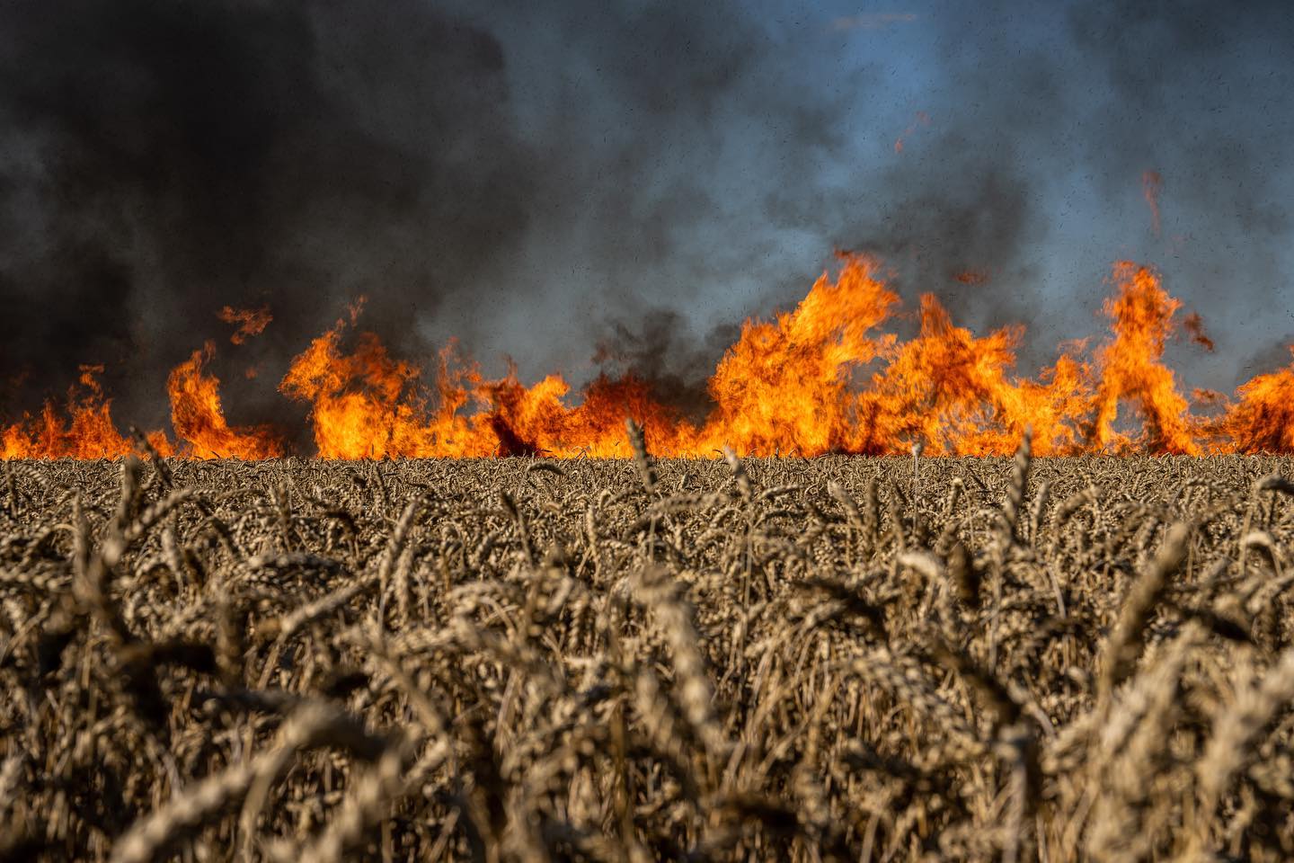 Wildfire Crisis: How Climate Change is Turning Forests into Carbon Bombs