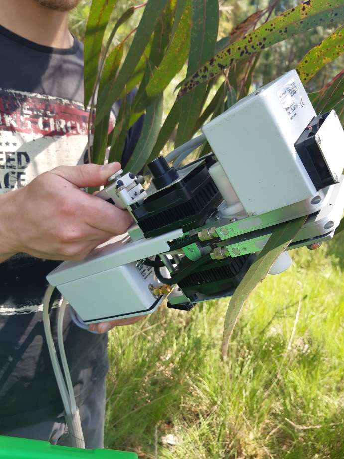 Figure 2: Soil sampling for collecting tree fine roots