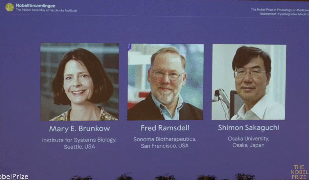 Guardians of The Immune System: The 2025 Nobel Prize Honours Discoveries That Keep Our Defences In Check