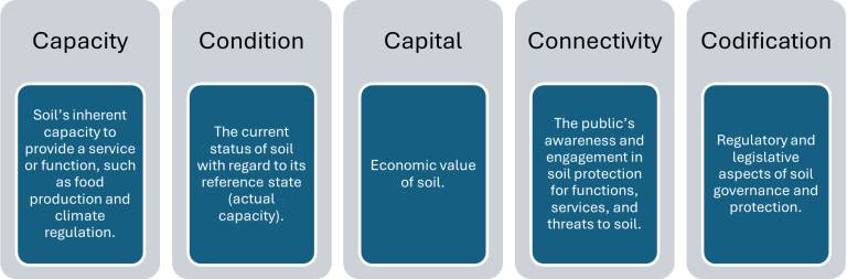 Figure 2. The Five Dimensions of the Soil Security Concept.