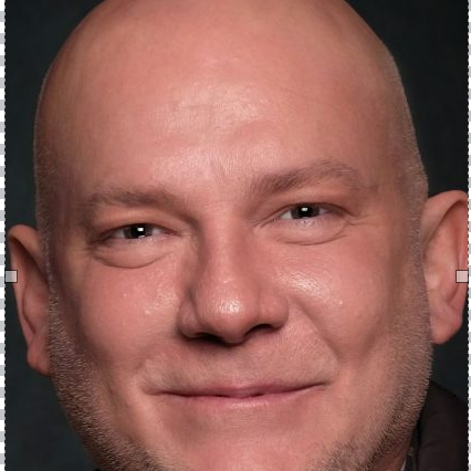 Profile picture of Paul J P Fouché