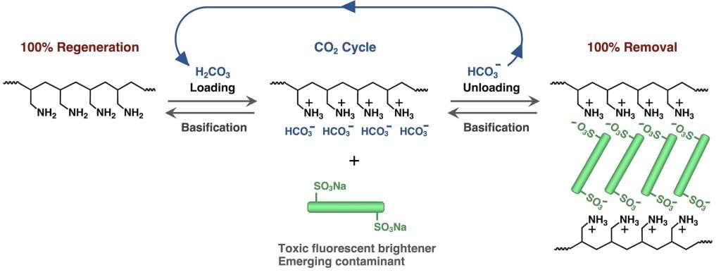 Figure 1. Schematic illustration; Credit. RSC Publications