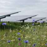 Biodiversity Reshapes Renewable Energy Strategy