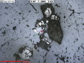 Figure 3. Backscatter images of zircon, magnetite, and ilmenite in Dongargarh granite. Credit. Author