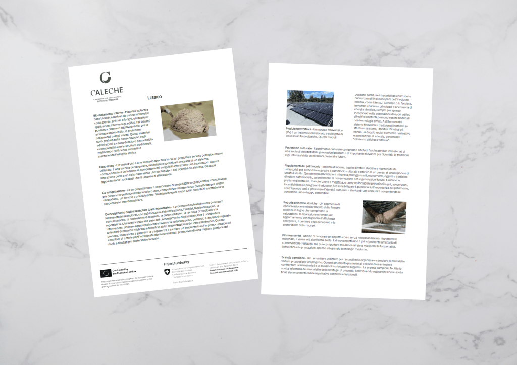 Figure 2. Lexicons shared with the non-expert Italian stakeholders in Naples; Credit. Author