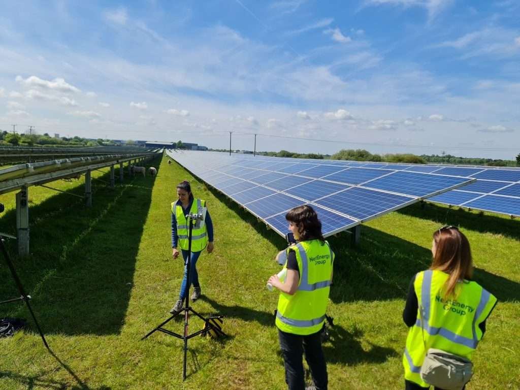 Honington Solar Farm in Suffolk, UK, is a 13.5 MWp asset with a dedicated nature management plan embedded into its operational regime (NextEnergy Solar Fund – NESF). Photo Credit. NextEnergy Group