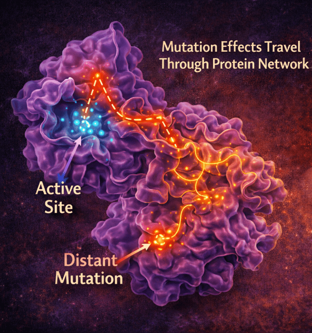 Even Distant Mutations Can Trigger Disease Proliferation
