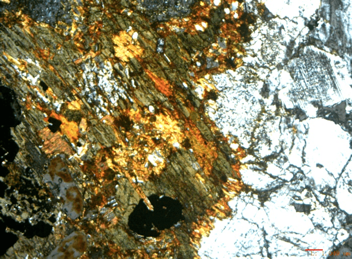 Figure 2. Polarizing microscope images of Dongargarh granite showing the presence of quartz, feldspar, biotite, zircon, magnetite, and ilmenite; Credit. Author