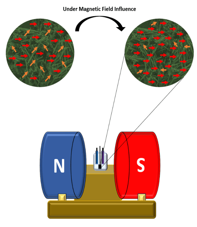 Figure 1. Three-electrode magnetic electrochemical setup.