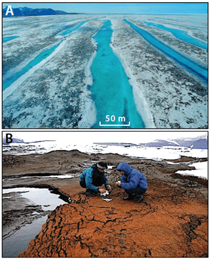 Figure 2. Microbial mats and meltwater ponds on the ablative surfaces of Arctic Ocean ice shelves at 83°N latitude off Ellesmere Island, Nunavut, Canada. (A) Aerial view looking westward of linear meltwater ponds in late summer, when dark microbial mats are exposed on ice ridges between the ponds, which are less than 3.0 m (10 ft) deep and up to 15 km (9.3 mi.) long. The linearity of the ponds reflects buckling of the ice shelf by back-pressure from the annual growth of sea ice. Linear ponds aligned parallel to the equator would have existed in the equatorial zone of Snowball Earth due to back-pressure from the convergence of the sea-glaciers (Figure 1). (B) Microbial mats on the Markham Ice Shelf are strongly pigmented for UV protection in summer. The carotenoid (orange) pigments are produced by the terrestrial green alga Bracteacoccus, and the black (scytonemin) pigments are products of filamentous Cyanobacteria. The mats offer protection and sustenance for diverse other life forms including micro-invertebrates. Both images courtesy of Warwick F. Vincent.