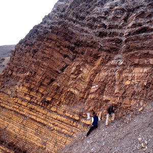 Figure 3. Geologists collecting samples on Ditlovtoppen nunatak in NE Svalbard (Arctic Europe) of sediments deposited during the global sea-level rise accompanying the younger Snowball Earth meltdown. Upward decrease in carbonate content (buff color) relative to shale (maroon and olive) reflects decreasing carbonate saturation with increasing water depth. The samples provide isotopic records of carbon, sulfur and oxygen geochemical cycling during extreme climate change.
