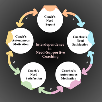 Figure 1: The motivational loop in need-supportive coaching: support, satisfaction, and autonomous (self-driven) motivation can move through the relationship between the coach and the coachee (athletes) rather than remaining within one person. Credit: Author