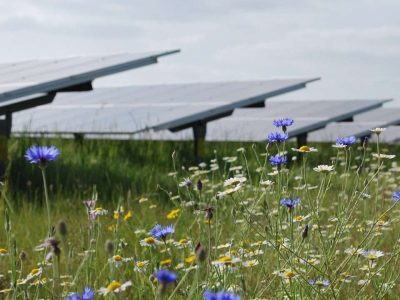 Biodiversity Reshapes Renewable Energy Strategy