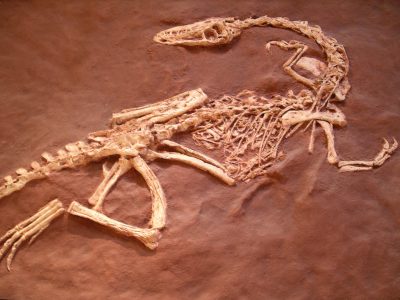 Reviving Dinosaurs: BBC’s ‘Walking with Dinosaurs’ Returns with New Insights