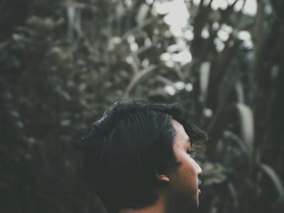 Technology Reconnects Humans with Nature Through Wildlife Tracking