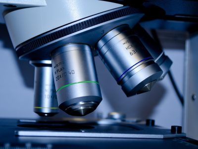 Breakthroughs in Blood Aging and Limb Regeneration Research