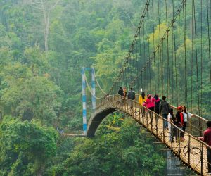 Meghalaya Expands Chief Minister’s Research Fellowship to Include Science and Technology